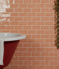 Seaton Shrimp Gloss Finish